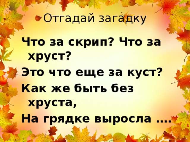 Отгадай загадку Что за скрип? Что за хруст? Это что еще за куст? Как же быть без хруста, На грядке выросла ….   