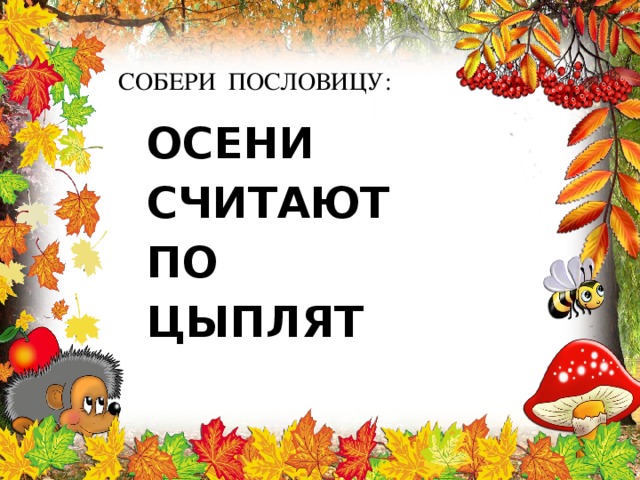 СОБЕРИ ПОСЛОВИЦУ: ОСЕНИ СЧИТАЮТ ПО ЦЫПЛЯТ 