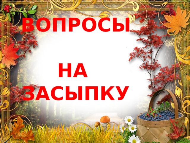 ВОПРОСЫ  НА  ЗАСЫПКУ 