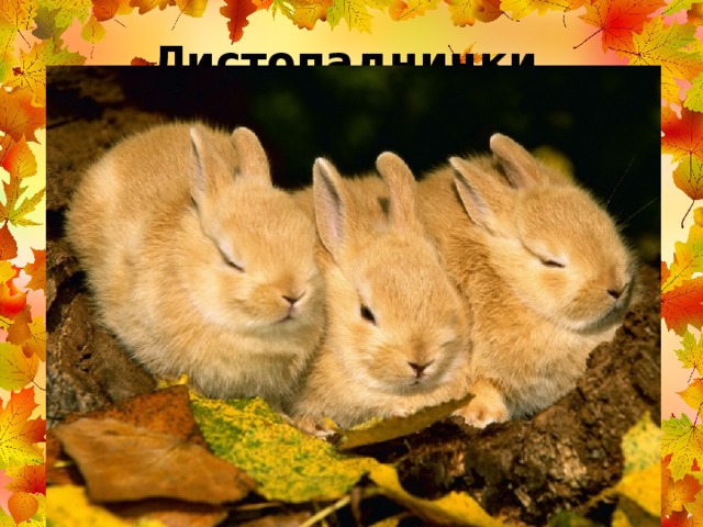 Листопаднички 