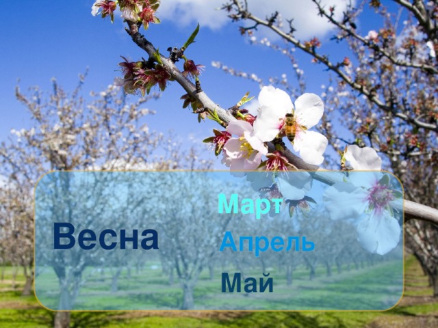 Март Весна Апрель Май 