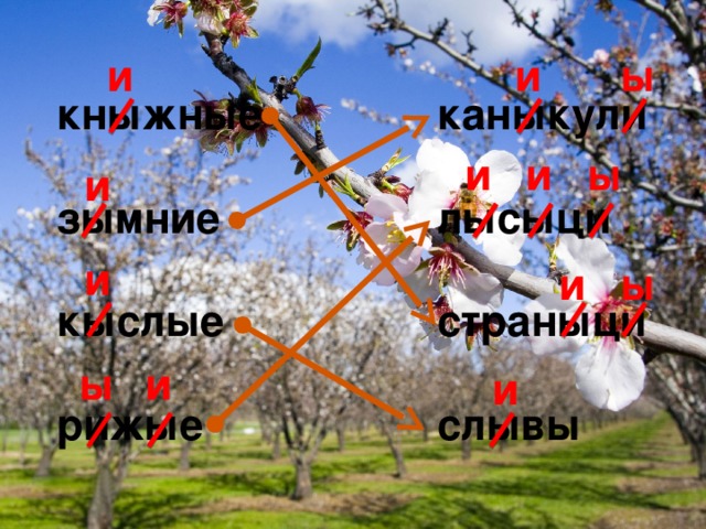 и и ы кныжные каныкули   лысыци зымние   страныци кыслые   слывы рижые ы и и и и ы и и ы и 