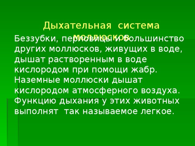 Дыхательная система моллюсков Беззубки, перловицы и большинство других моллюсков, живущих в воде, дышат растворенным в воде кислородом при помощи жабр. Наземные моллюски дышат кислородом атмосферного воздуха. Функцию дыхания у этих животных выполнят так называемое легкое. 