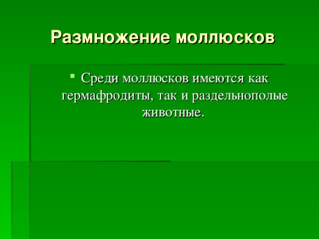 Размножение моллюсков Среди моллюсков имеются как гермафродиты, так и раздельнополые животные. 