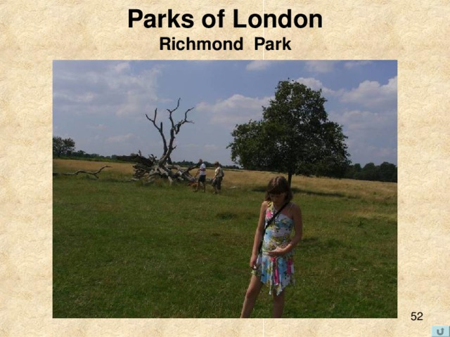Parks of London  Richmond Park 