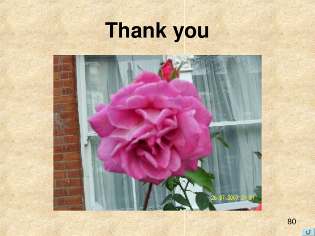 Thank you 