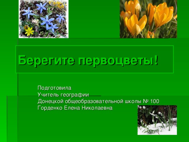 Берегите первоцветы! Подготовила Учитель географии Донецкой общеобразовательной школы № 100 Горденко Елена Николаевна 