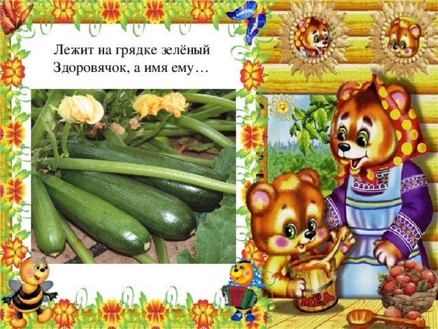 Лежит на грядке зелёный Здоровячок, а имя ему… 