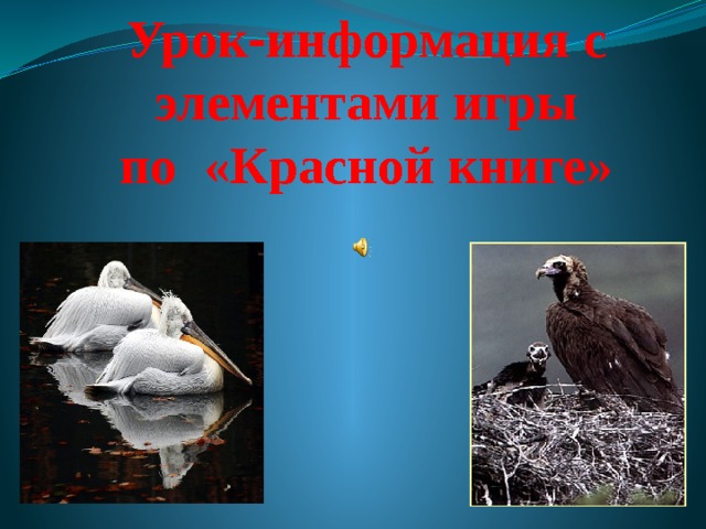 Урок - информация с элементами игры по «Красной книге» 