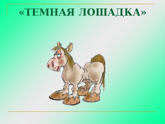 «ТЕМНАЯ ЛОШАДКА» 