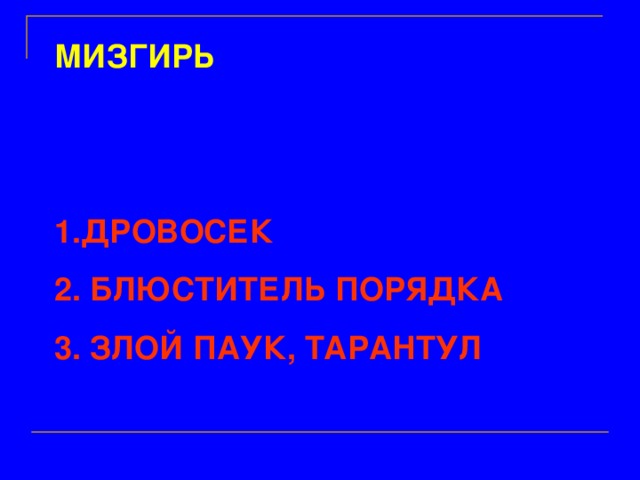 МИЗГИРЬ   ДРОВОСЕК  БЛЮСТИТЕЛЬ ПОРЯДКА  ЗЛОЙ ПАУК, ТАРАНТУЛ 