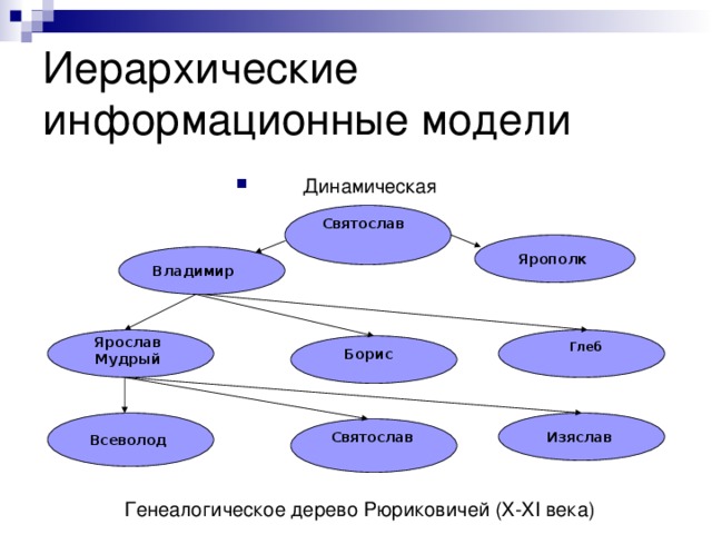 Иерархические информационные модели Динамическая Святослав Ярополк Владимир  Ярослав Мудрый Глеб Борис Изяслав Всеволод Святослав Генеалогическое дерево Рюриковичей (X-XI века) 