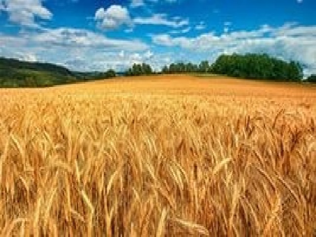 Русский язык важен для патриота. Смотреть фото Русский язык важен для патриота. Смотреть картинку Русский язык важен для патриота. Картинка про Русский язык важен для патриота. Фото Русский язык важен для патриота