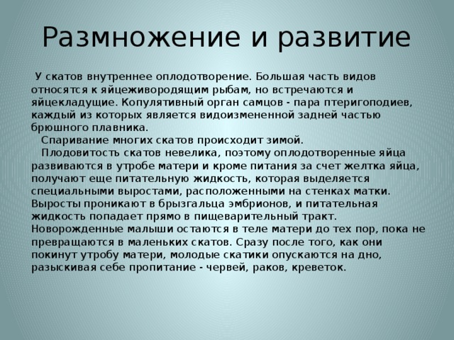 Размножение и развитие  У скатов внутреннее оплодотворение. Большая часть видов относятся к яйцеживородящим рыбам, но встречаются и яйцекладущие. Копулятивный орган самцов - пара птеригоподиев, каждый из которых является видоизмененной задней частью брюшного плавника.      Спаривание многих скатов происходит зимой.     Плодовитость скатов невелика, поэтому оплодотворенные яйца развиваются в утробе матери и кроме питания за счет желтка яйца, получают еще питательную жидкость, которая выделяется специальными выростами, расположенными на стенках матки. Выросты проникают в брызгальца эмбрионов, и питательная жидкость попадает прямо в пищеварительный тракт. Новорожденные малыши остаются в теле матери до тех пор, пока не превращаются в маленьких скатов. Сразу после того, как они покинут утробу матери, молодые скатики опускаются на дно, разыскивая себе пропитание - червей, раков, креветок.     