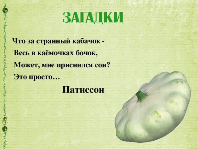 Что за странный кабачок -  Весь в каёмочках бочок,  Может, мне приснился сон?  Это просто… Патиссон