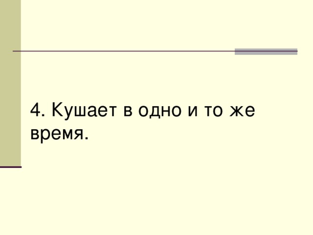 4. Кушает в одно и то же время. 
