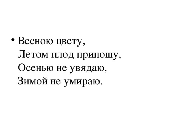 Весною цвету,   Летом плод приношу,   Осенью не увядаю,   Зимой не умираю.  