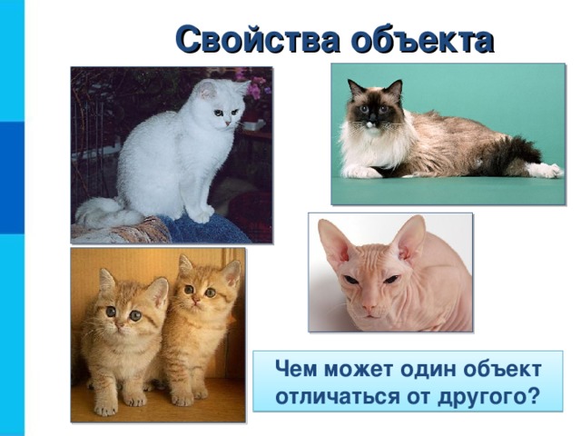 Свойства объекта Чем может один объект отличаться от другого?  