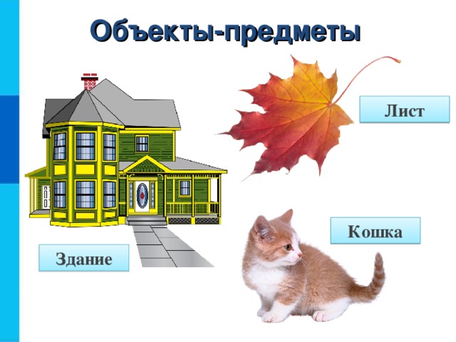 Объекты-предметы Лист Кошка Здание  