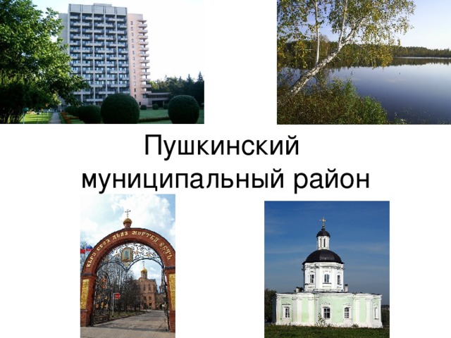 Пушкинский  муниципальный район 