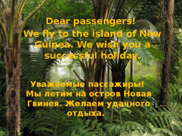 Dear passengers! We fly to the island of New Guinea. We wish you a successful holiday. Уважаемые пассажиры!  Мы летим на остров Новая Гвинея. Желаем удачного отдыха. 