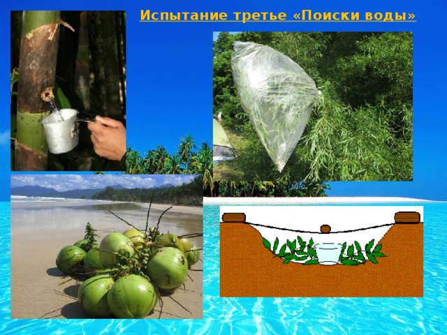 Испытание третье «Поиски воды»  