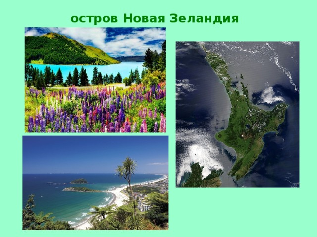 остров Новая Зеландия 