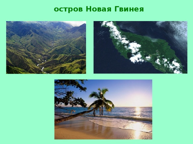остров Новая Гвинея 