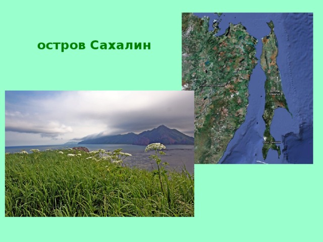 остров Сахалин 