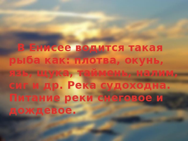  В Енисее водится такая рыба как: плотва, окунь, язь, щука, таймень, налим, сиг и др. Река судоходна. Питание реки снеговое и дождевое. 