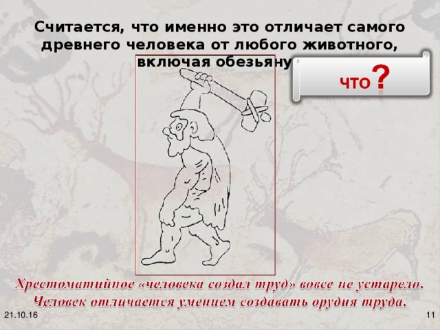 Считается, что именно это отличает самого древнего человека от любого животного, включая обезьяну.  21.10.16 8
