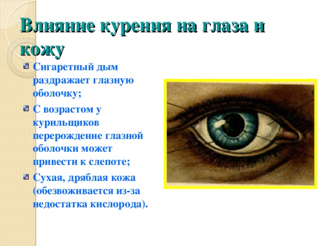 Влияние курения на глаза и кожу Сигаретный дым раздражает глазную оболочку; С возрастом у курильщиков перерождение глазной оболочки может привести к слепоте; Сухая, дряблая кожа (обезвоживается из-за недостатка кислорода). 
