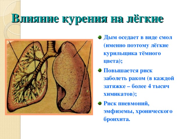 Влияние курения на лёгкие Дым оседает в виде смол (именно поэтому лёгкие курильщика тёмного цвета); Повышается риск заболеть раком (в каждой затяжке – более 4 тысяч химикатов); Риск пневмоний, эмфиземы, хронического бронхита.  
