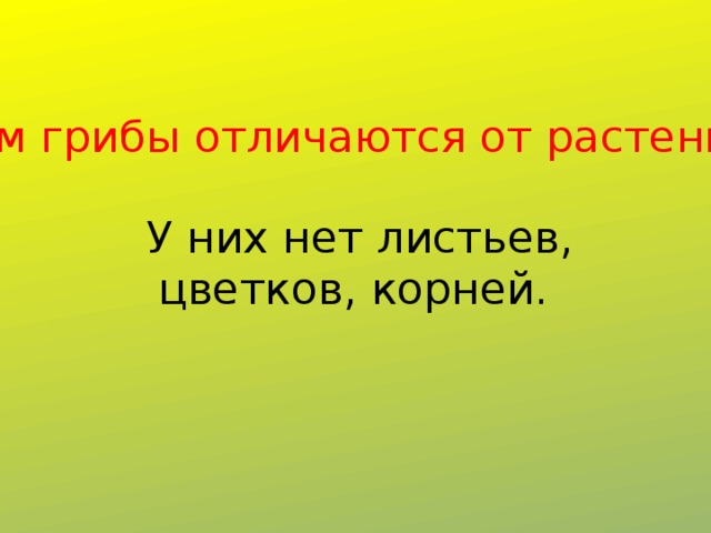 Чем грибы отличаются от растений?  У них нет листьев, цветков, корней. 