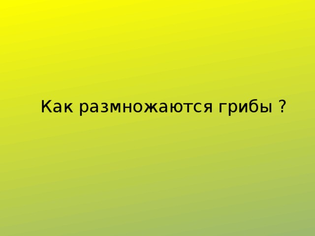 Как размножаются грибы ? 
