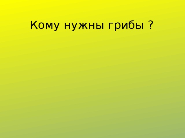 Кому нужны грибы ? 