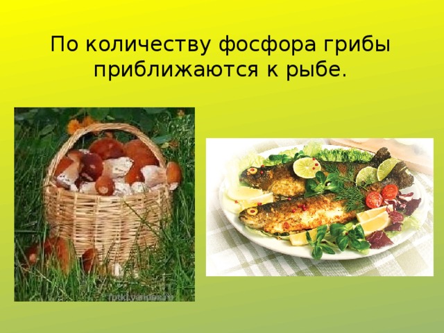 По количеству фосфора грибы приближаются к рыбе. 
