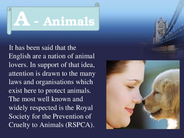 A - Animals  It has been said that the English are a nation of animal lovers. In support of that idea, attention is drawn to the many laws and organisations which exist here to protect animals. The most well known and widely respected is the Royal Society for the Prevention of Cruelty to Animals (RSPCA). 