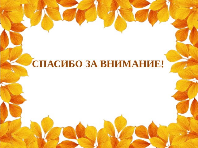 СПАСИБО ЗА ВНИМАНИЕ! 