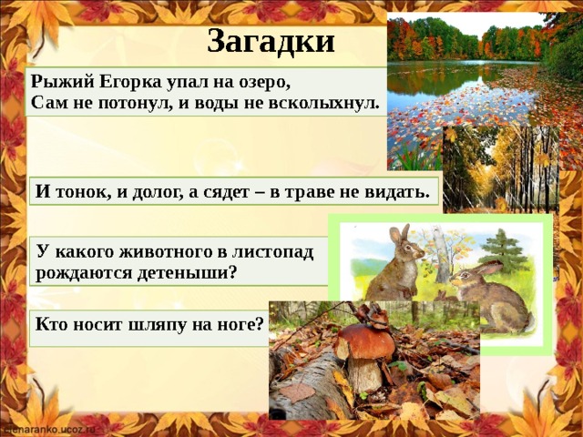  Загадки Рыжий Егорка упал на озеро, Сам не потонул, и воды не всколыхнул. И тонок, и долог, а сядет – в траве не видать. У какого животного в листопад рождаются детеныши? Кто носит шляпу на ноге? 