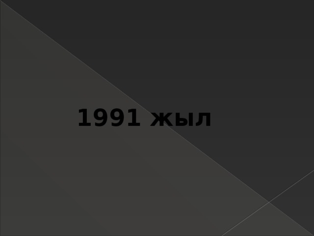 1991 жыл 