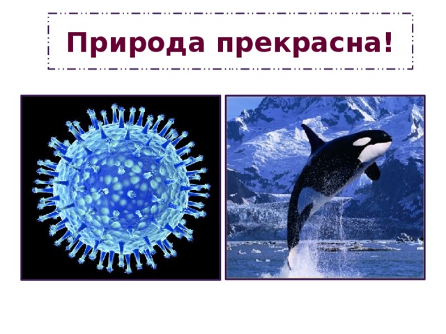 Природа прекрасна! 