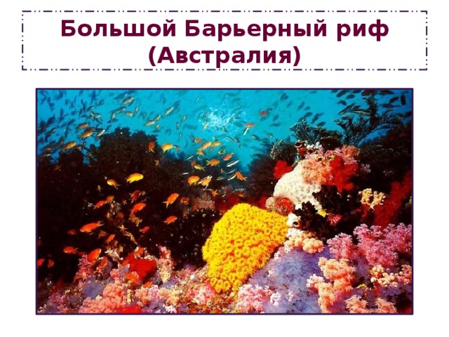 Большой   Барьерный   риф (Австралия) 