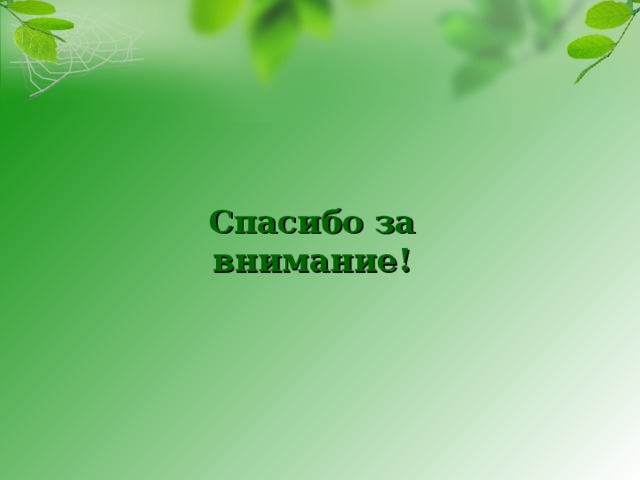 Спасибо за внимание! 