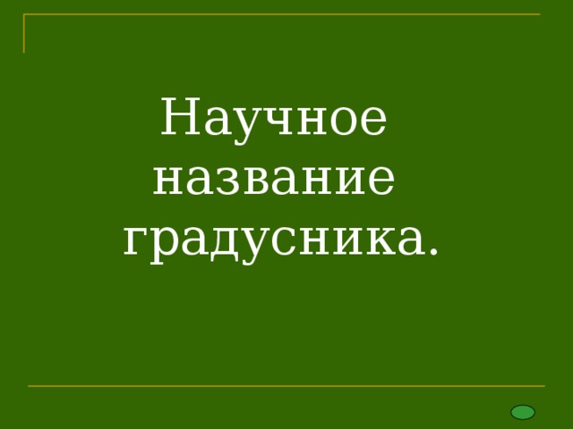 Научное  название  градусника. 