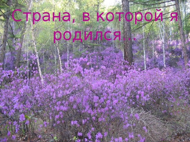Страна, в которой я родился… 
