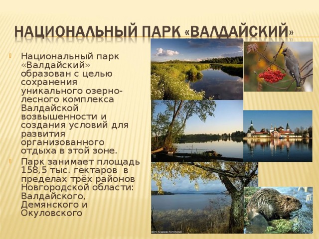 Национальный парк «Валдайский» образован с целью сохранения уникального озерно-лесного комплекса Валдайской возвышенности и создания условий для развития организованного отдыха в этой зоне. Парк занимает площадь 158,5 тыс. гектаров в пределах трёх районов Новгородской области: Валдайского, Демянского и Окуловского 