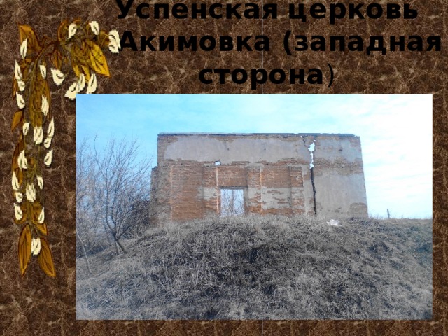 Успенская церковь с.Акимовка (западная сторона ) 