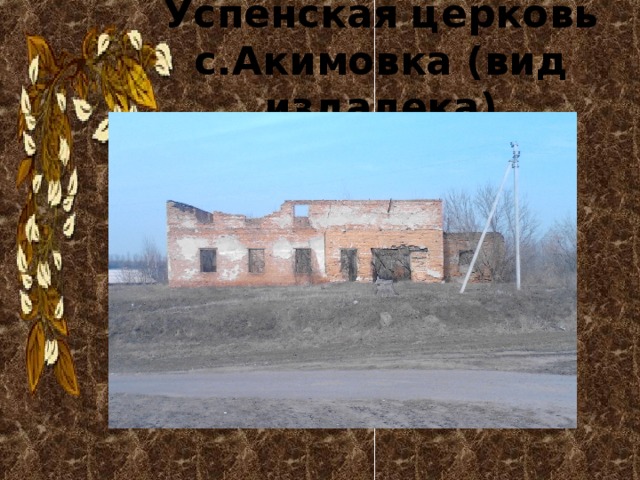 Успенская церковь с.Акимовка (вид издалека) 