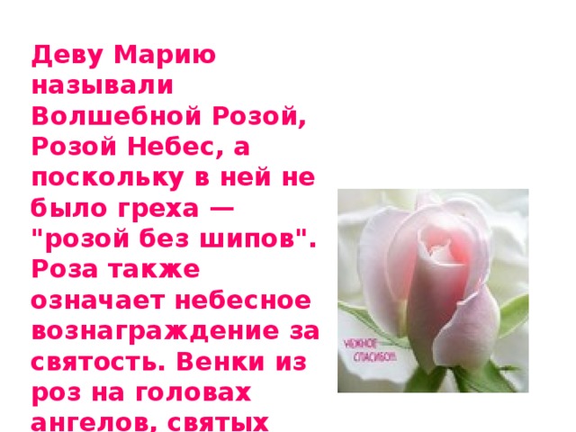 Деву Марию называли Волшебной Розой, Розой Небес, а поскольку в ней не было греха — 
